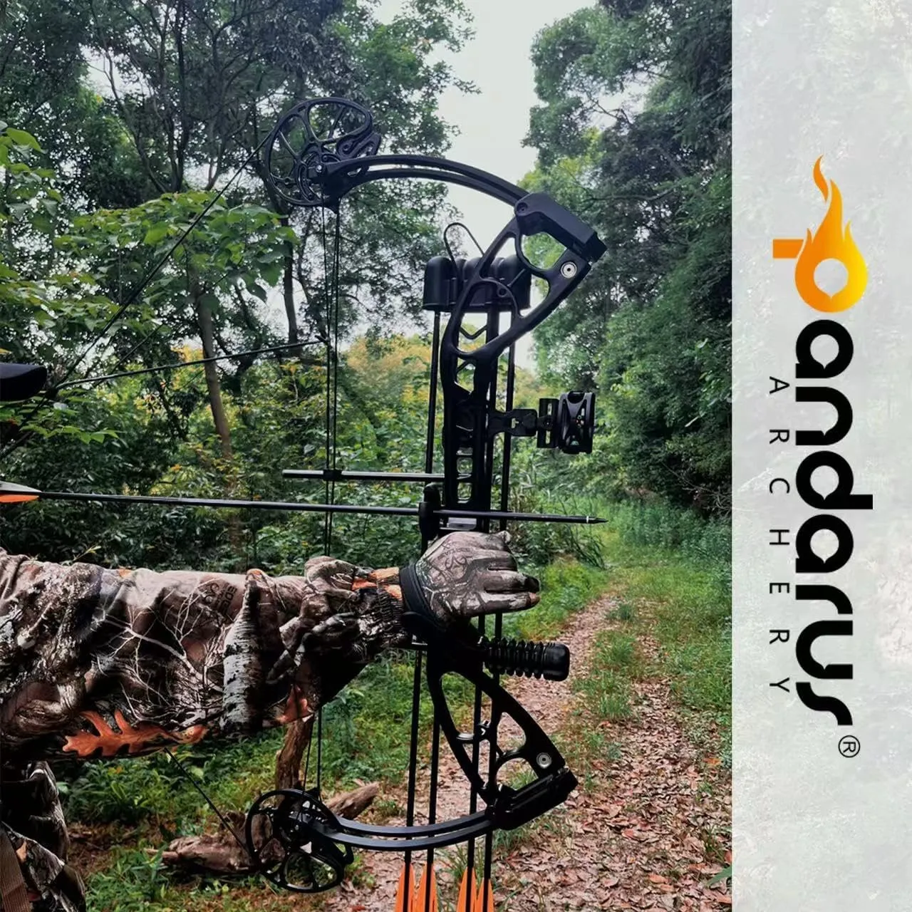 Archery Compounnd Bow Set Fully Adjustable for Adults and Teens,25.4"-32" Draw Length,30-70LBS Draw Weight,Up to 320 FPS,Limbs Made in USA 2025 New
