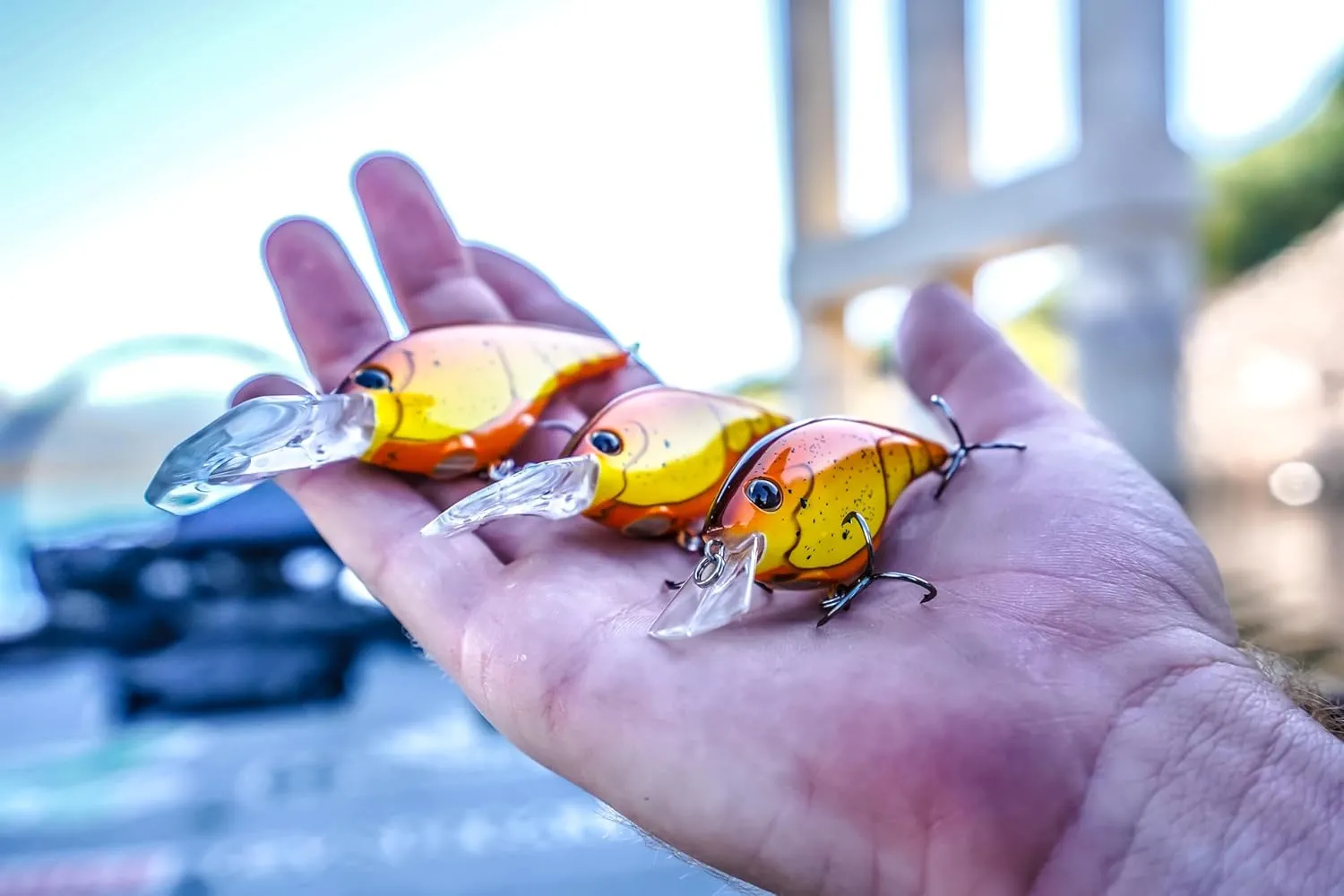Berkley Frittside Fishing Hard Bait
