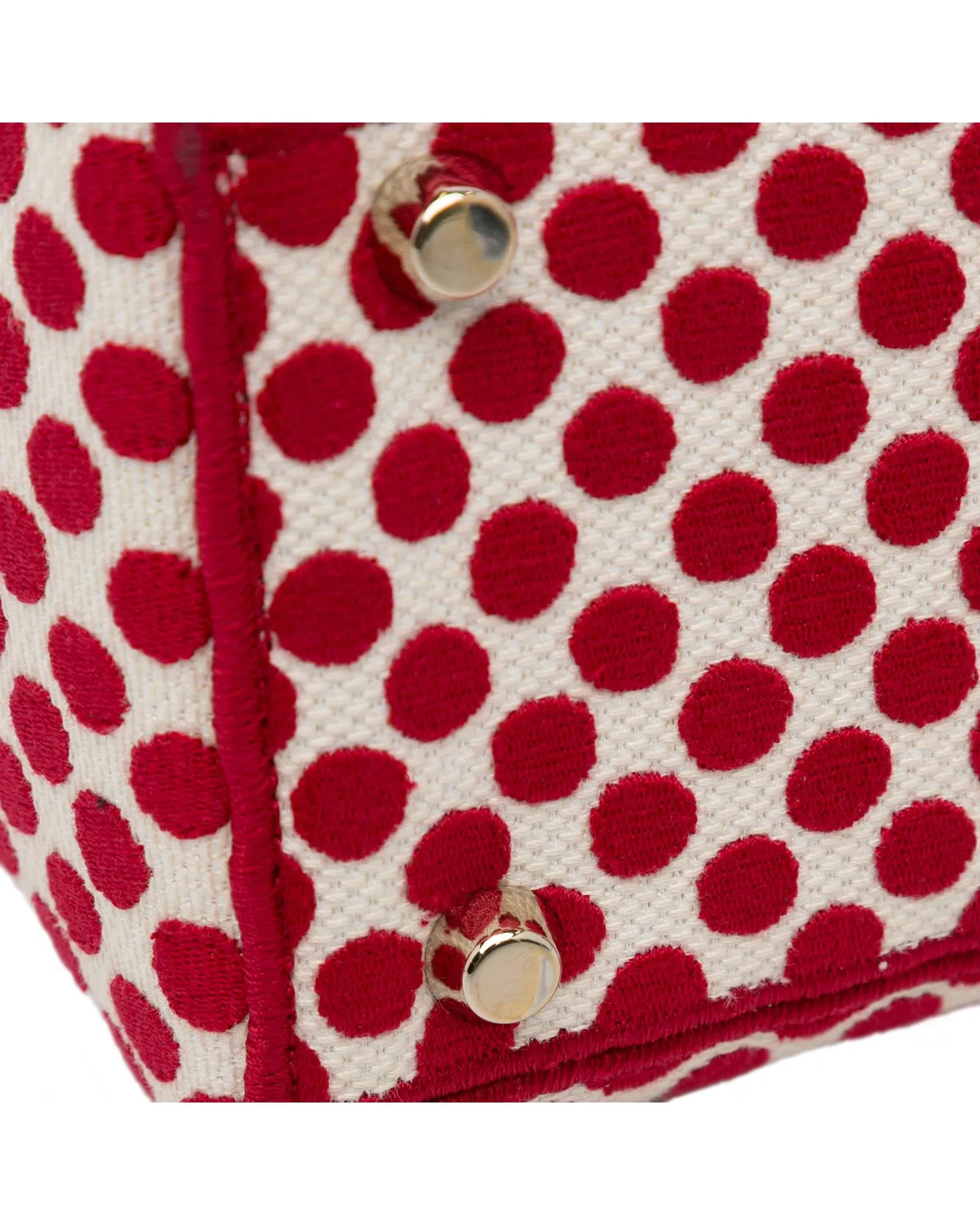 DiorAmour Printed Lady D-Lite Handbag