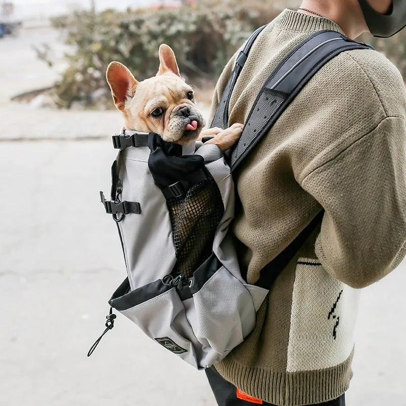 Elegant French Bulldog Backpack