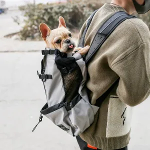 Elegant French Bulldog Backpack