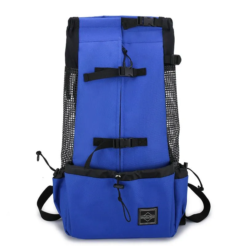 Elegant French Bulldog Backpack
