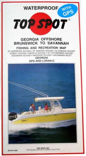 Georgia Brunswick to Savannah N229 Offshore