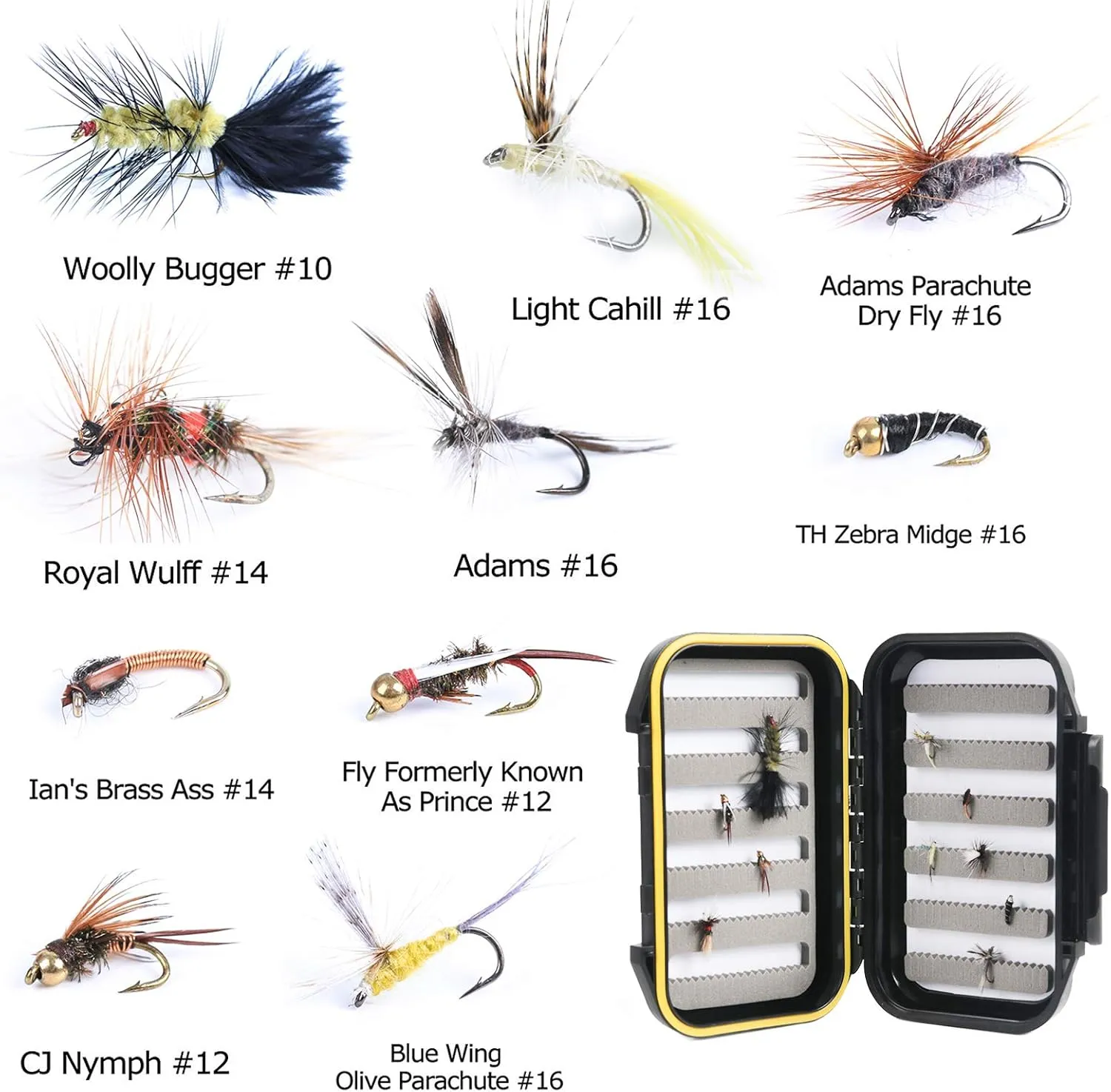 Maxcatch Amigo Fly Fishing Rod and Reel Combo 9FT 4-Piece 4/5/6/7/8 Weight Complete Fishing Outfit