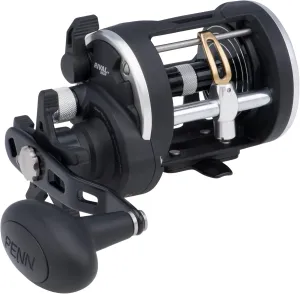 Penn Rival Level Wind Conventional Fishing Reel