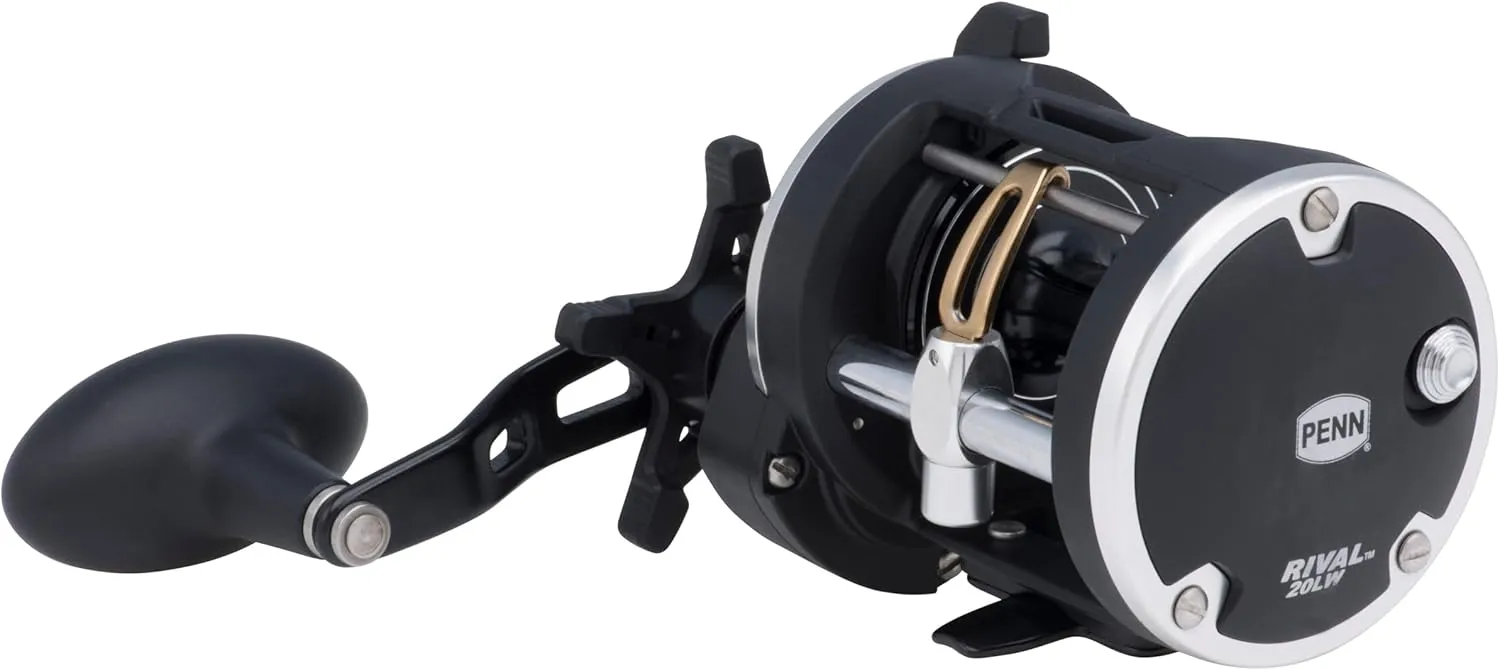 Penn Rival Level Wind Conventional Fishing Reel