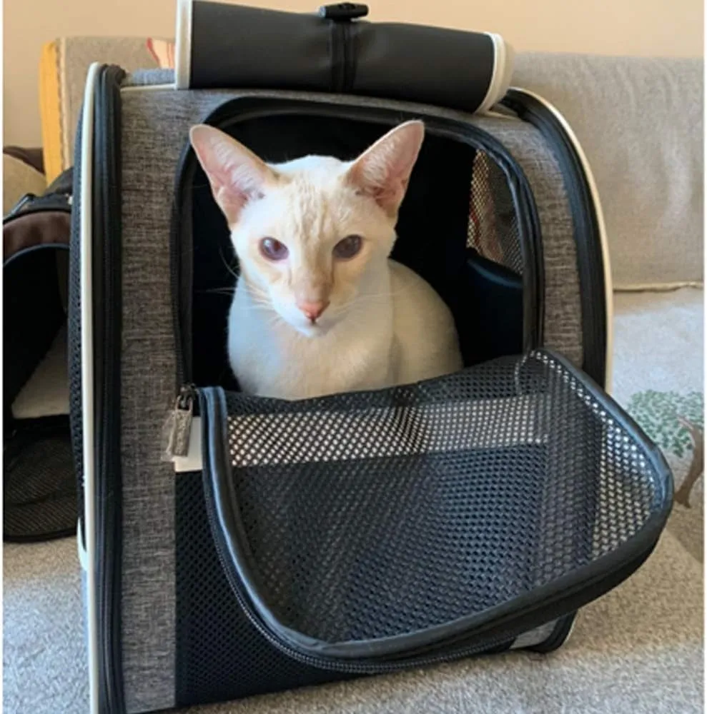 Pet Carrier Backpack with Window Blind for Small Cats Dogs, Ventilated Design, Safety Straps, Buckle Support, Collapsible, Designed for Travel, Hiking, Winter Outing, Outdoor, Go to Vet
