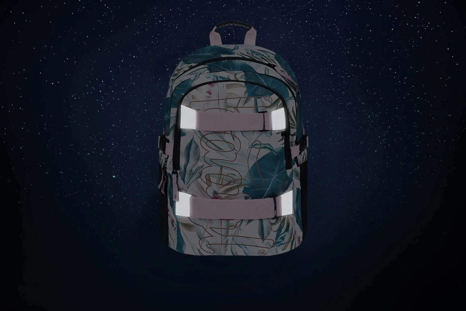 School backpack Skate Leafs