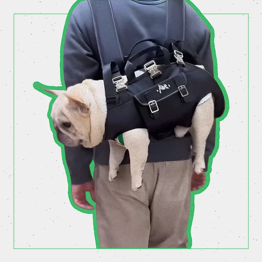 Shoulder French Bulldog Carrier