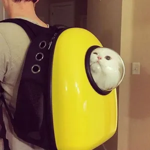 Small Pet Carrier Backpack Astronaut styles