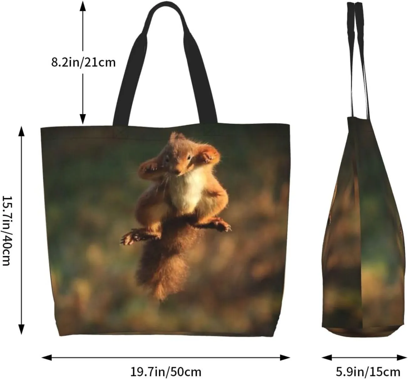 Squirrel Canvas Tote Bag Cute Shoulder Bag Handbag Casual Animal Grocery Bags Cute Animals Bag for Outdoor