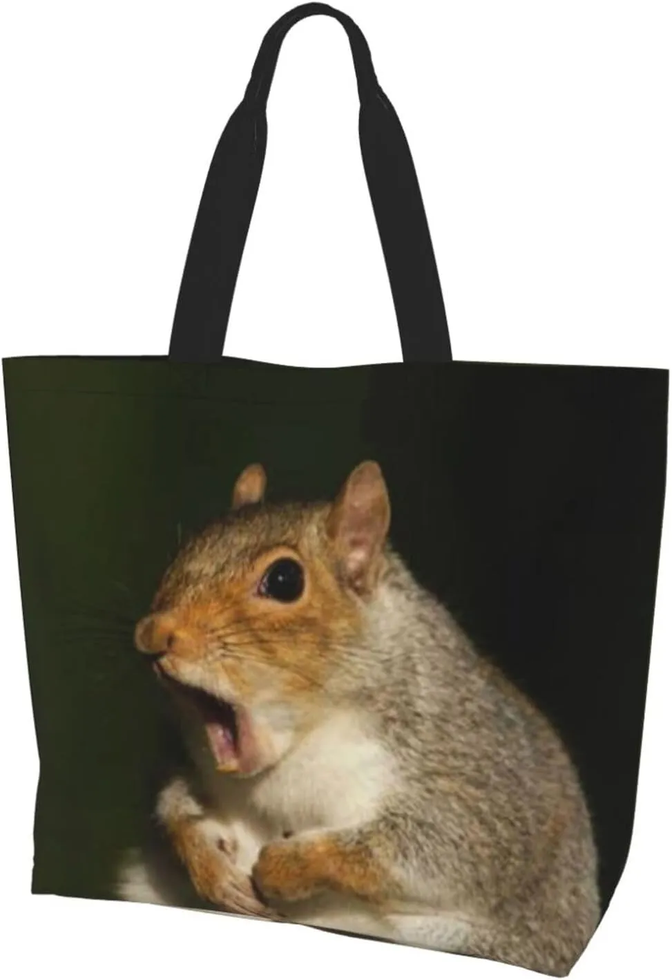 Squirrel Canvas Tote Bag Cute Shoulder Bag Handbag Casual Animal Grocery Bags Cute Animals Bag for Outdoor
