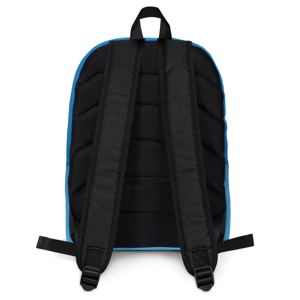 Turtle Trek Backpack: Carry Florida's Marine Magic