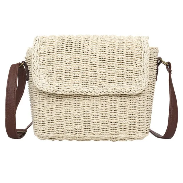 Winter sale Beach Bag Free shipping